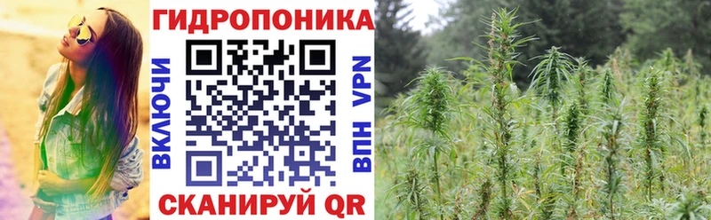 Сколько стоит Северская Амфетамин  Мефедрон  COCAIN  ГАШ  Каннабис 